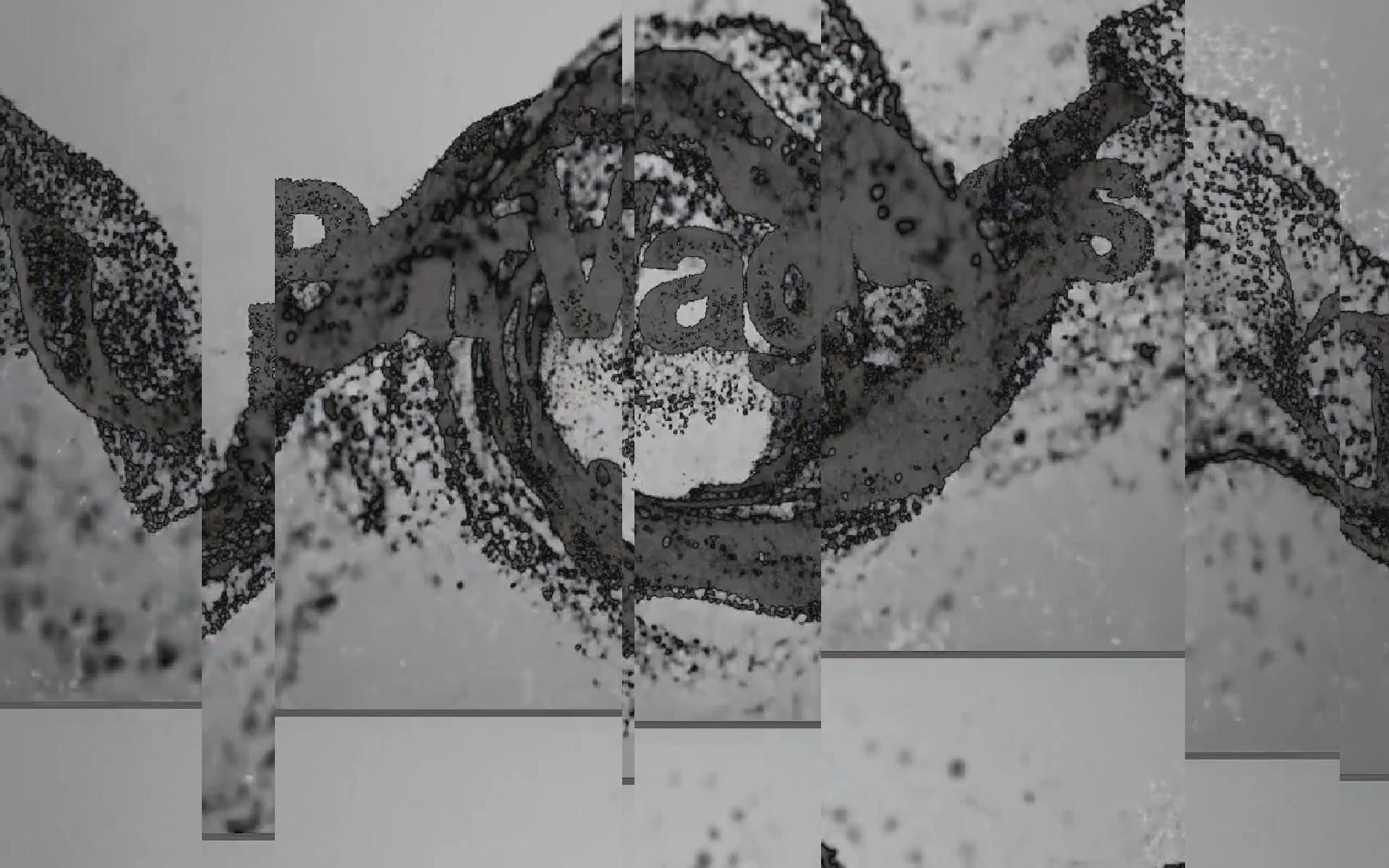 Time Glitch effect preview
